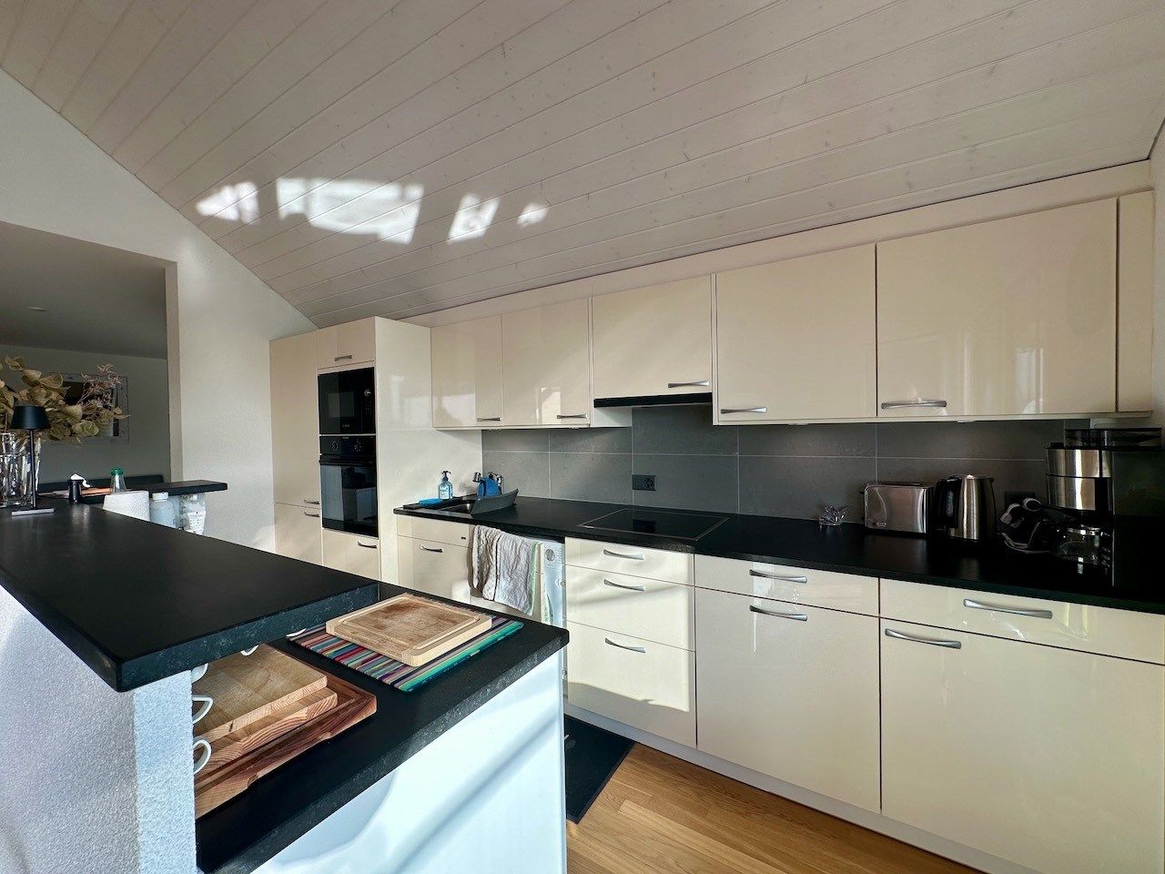 penthouse 5 Pièces en vente sur Bassins (1269)