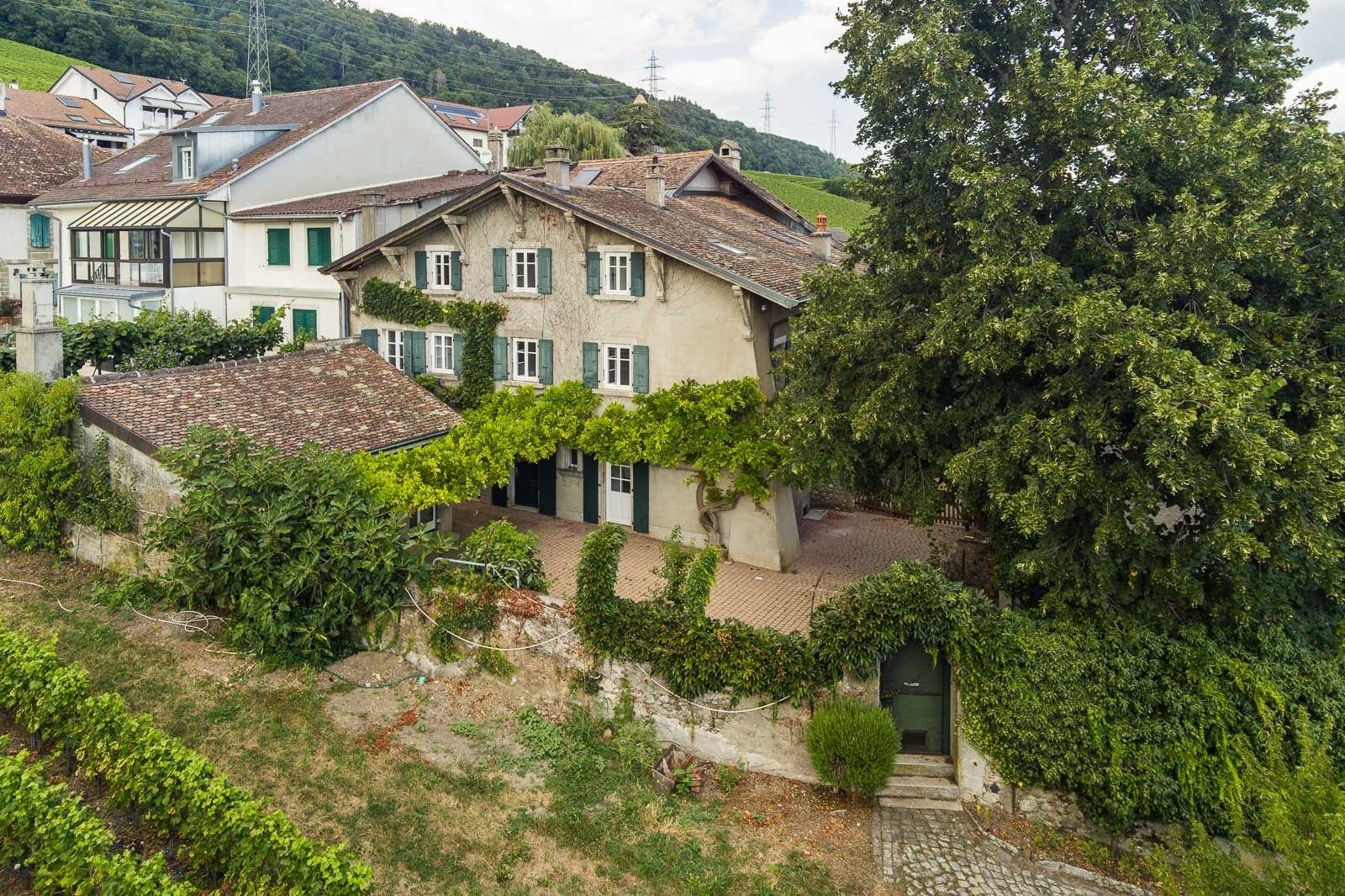 maison 8 Pièces en vente sur Luins (1184)