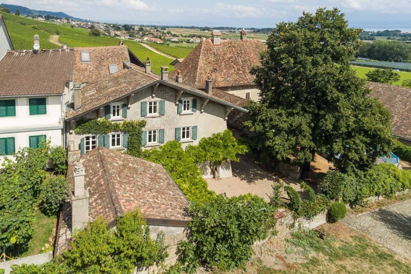 maison 8 Pièces en vente sur Luins (1184)