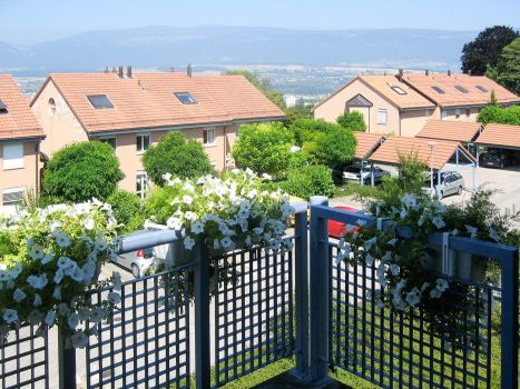 Vente Appartement Yverdon-les-Bains 7&nbsp;Pièces 162&nbsp;m²