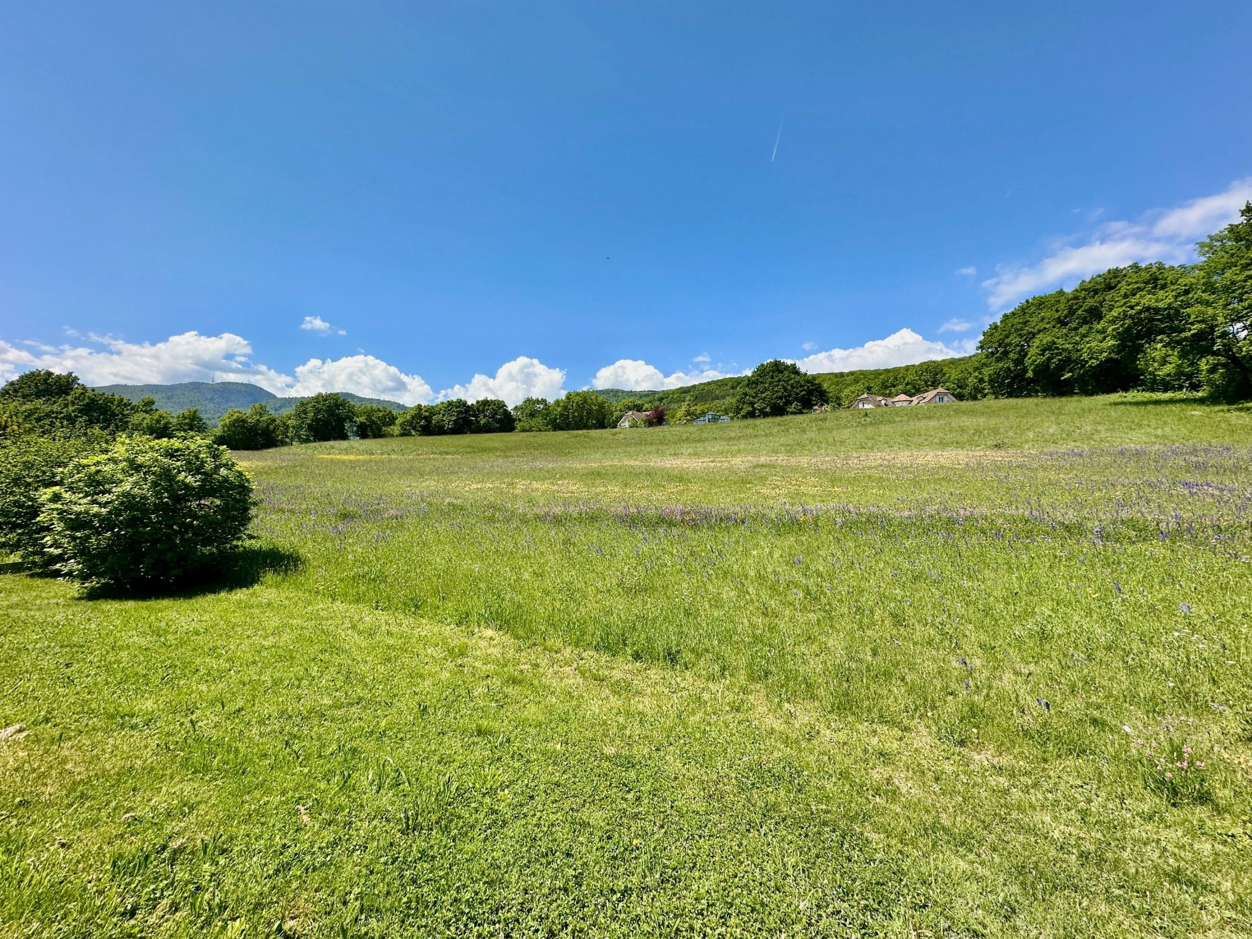 villa 7 Pièces en vente sur Givrins (1271)