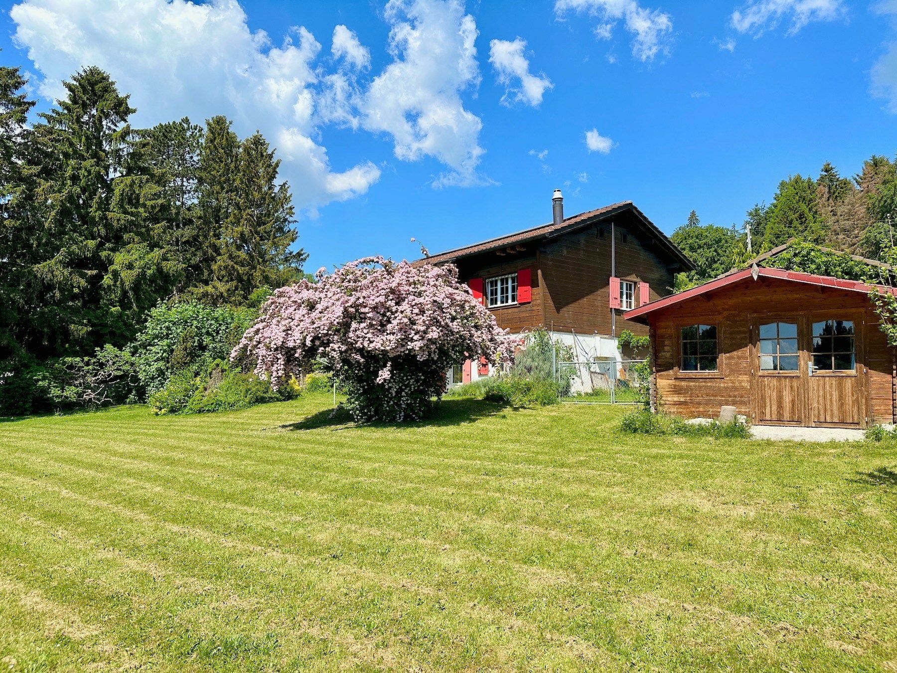 chalet 4 Pièces en vente sur Bassins (1269)