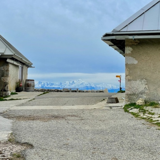 Évasion locale : Les 5 balades incontournables autour d’Arzier et du Jura vaudois
